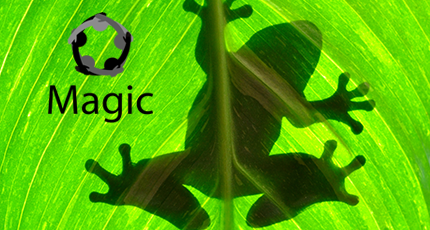 MAGIC Biodiversity Community